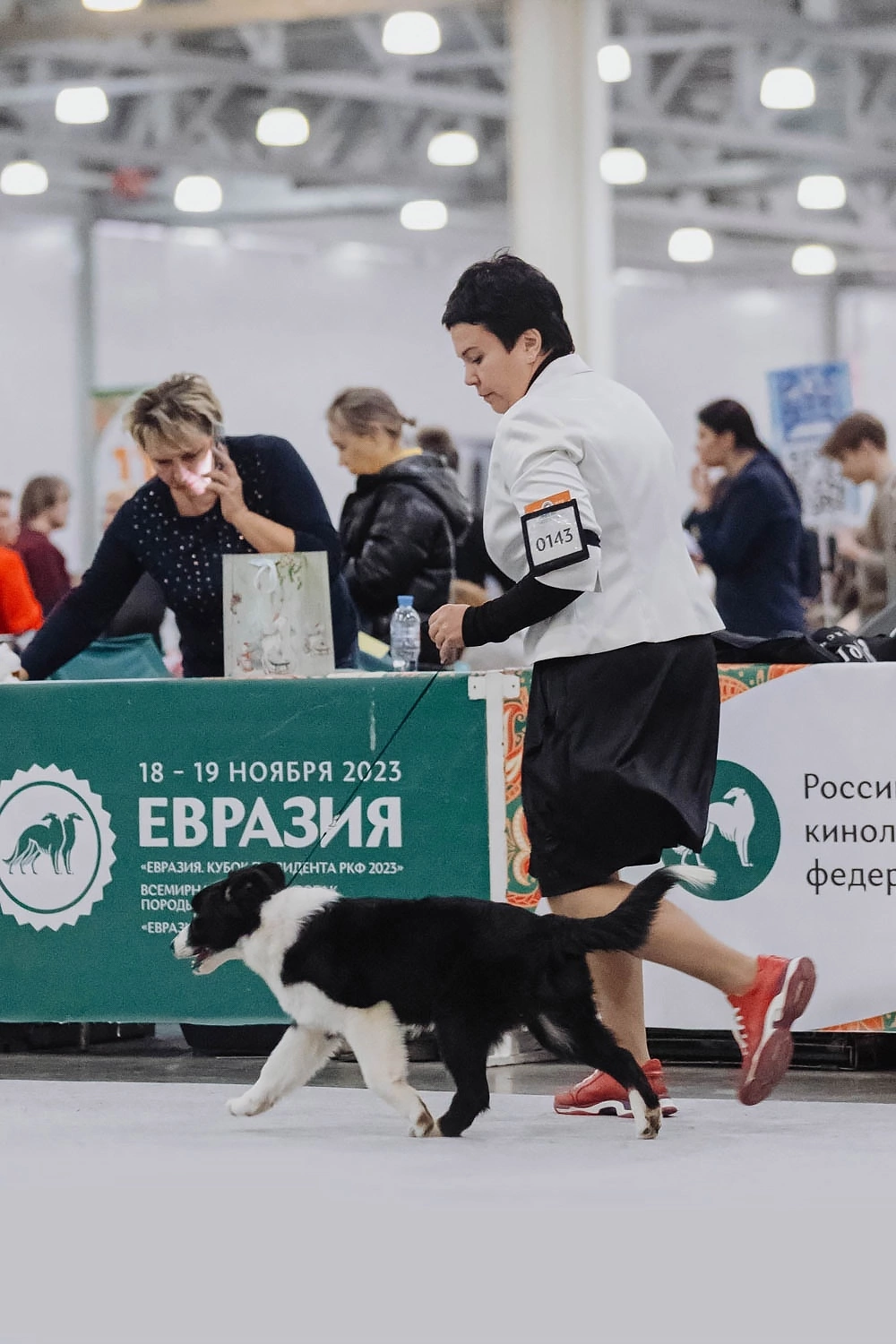 Ryzhaya Molniya Easy — Изи. Заводчик Зинаида Мищенко