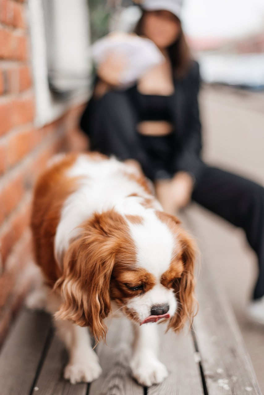 Маша и Альма. Портретный и семейный фотограф в Минске Галина Цареня