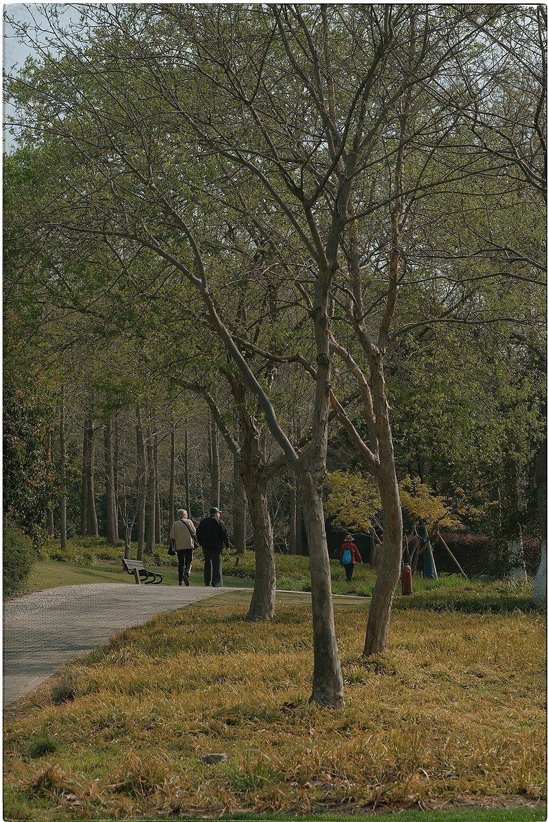 Китай. Портретный и репортажный фотограф в Санкт-Петербурге Дарья Сибирякова