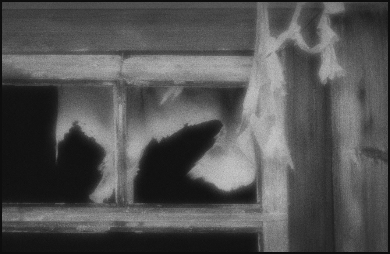 д. Кучепалда, Каргопольский район, Архангельская область. 2024 г.