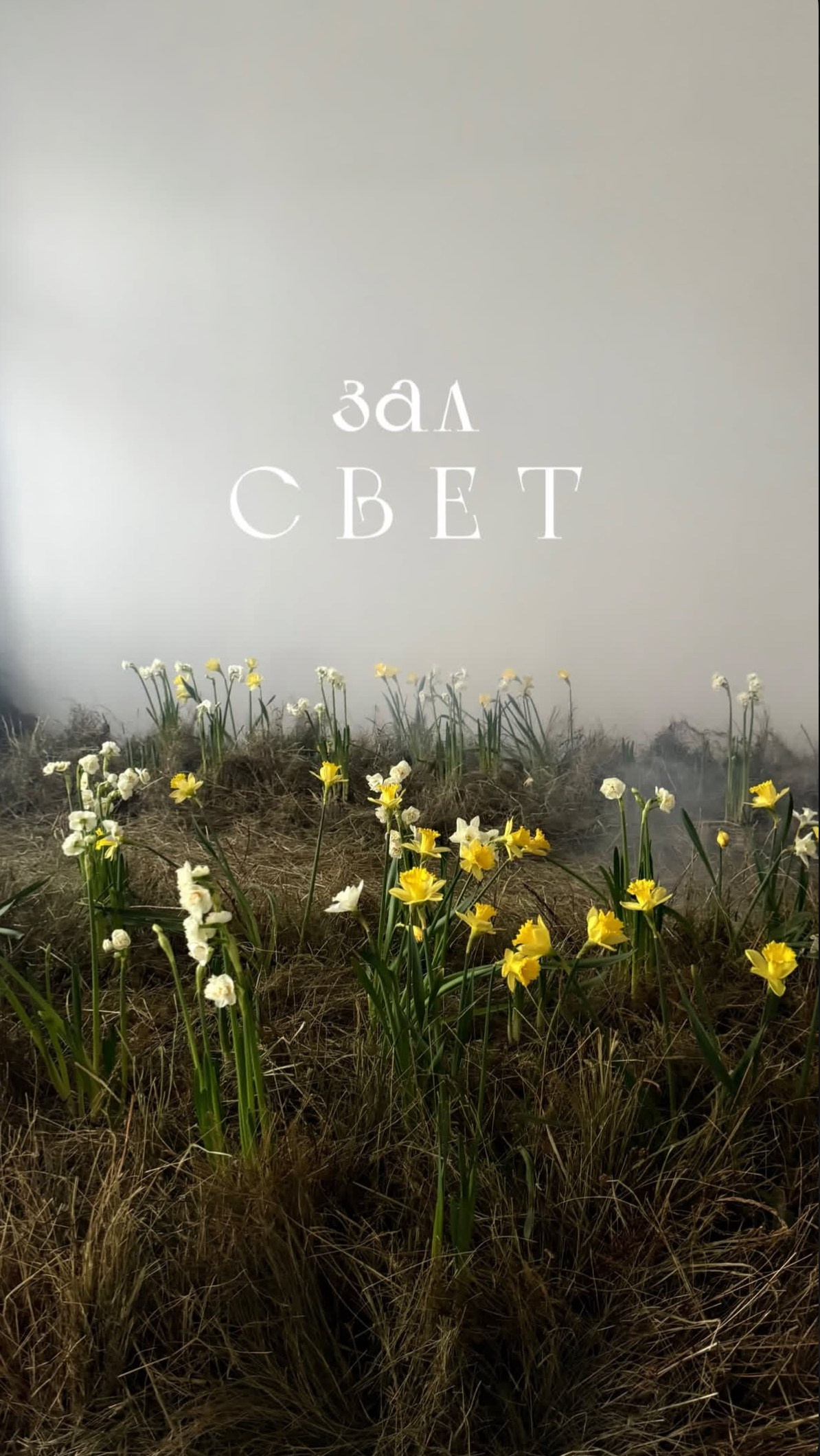 Фотостудия МОХ зал Свет. Фотограф Настя Лев