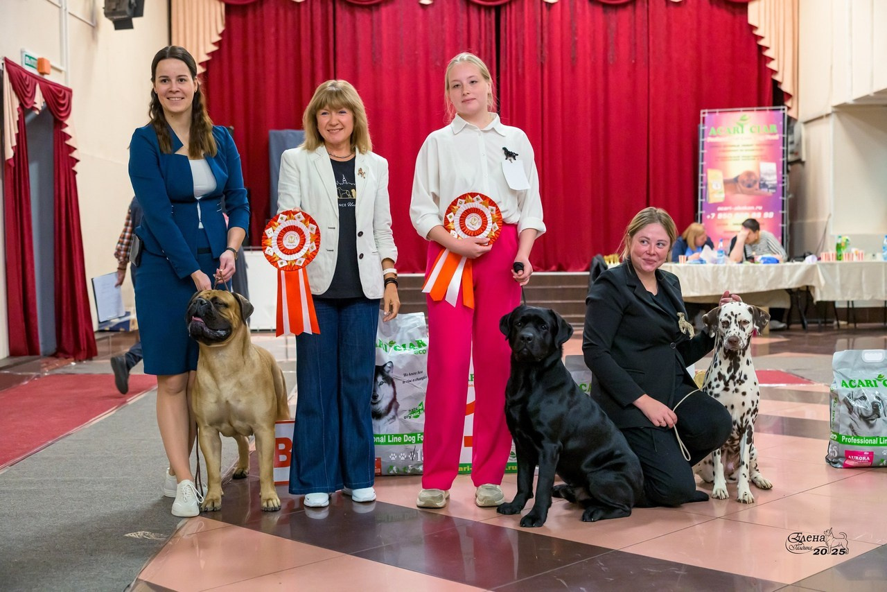 Отзывы. Фотограф анималист Елена Галдина г. Красноярск