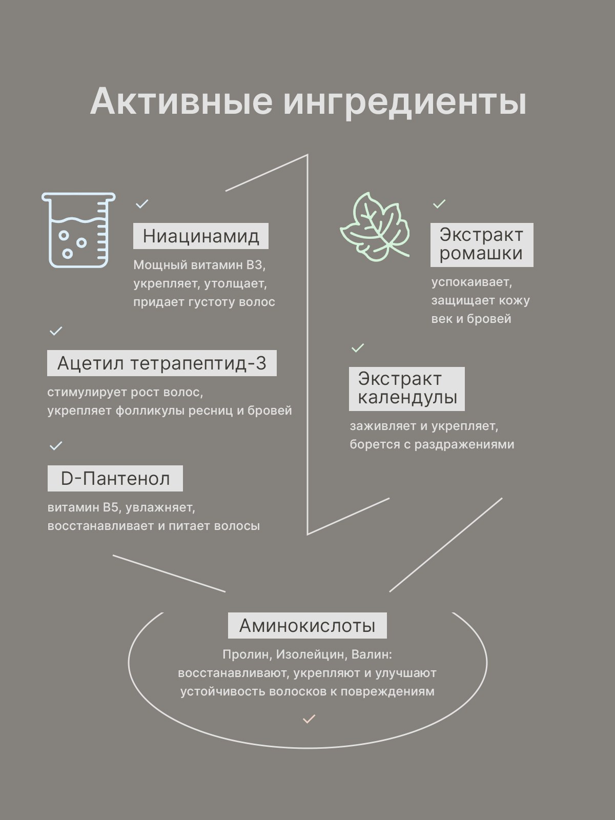 Сыворотка Tonkanica. Разработка фирменного стиля, брендбука, логотипа (логобука), инфографика для маркетплейсов, Новосибирск