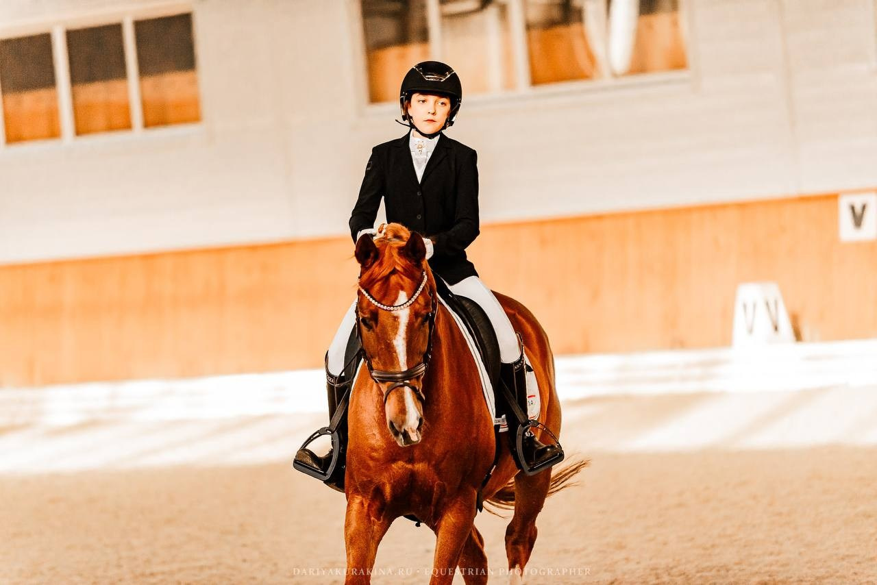 ЗОЛОТАЯ ОСЕНЬ КСК «КОНКОРД», ВЫЕЗДКА. Конный фотограф Куракина Дарья • Фотосессии с лошадьми