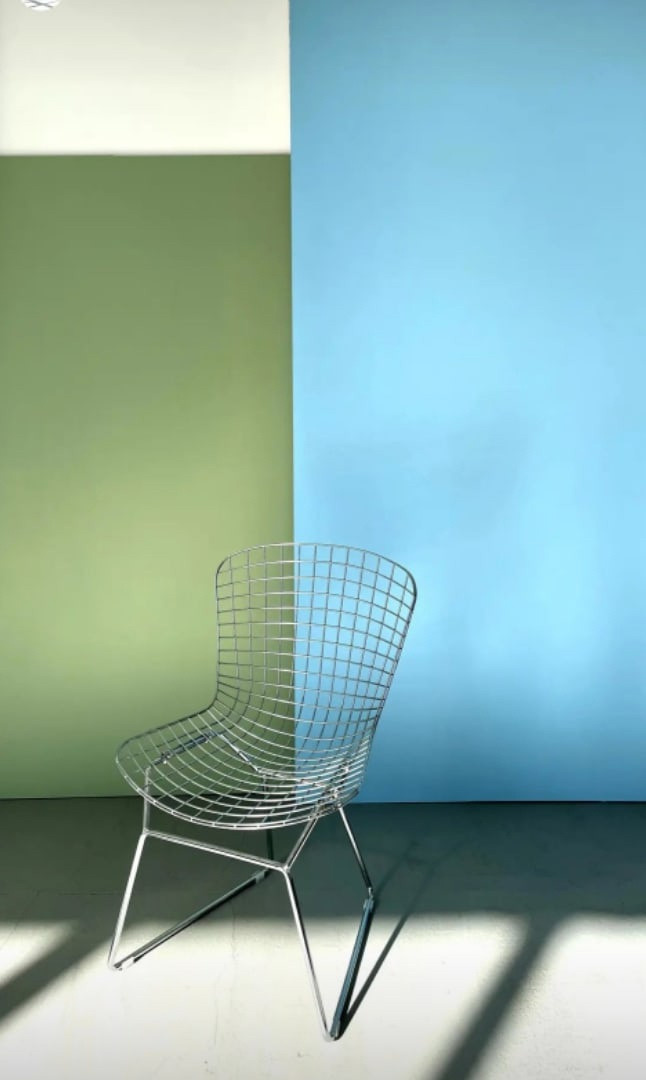 Ваби Саби 2 зал. Фотограф в Кемерово, Ольга Гаврилова