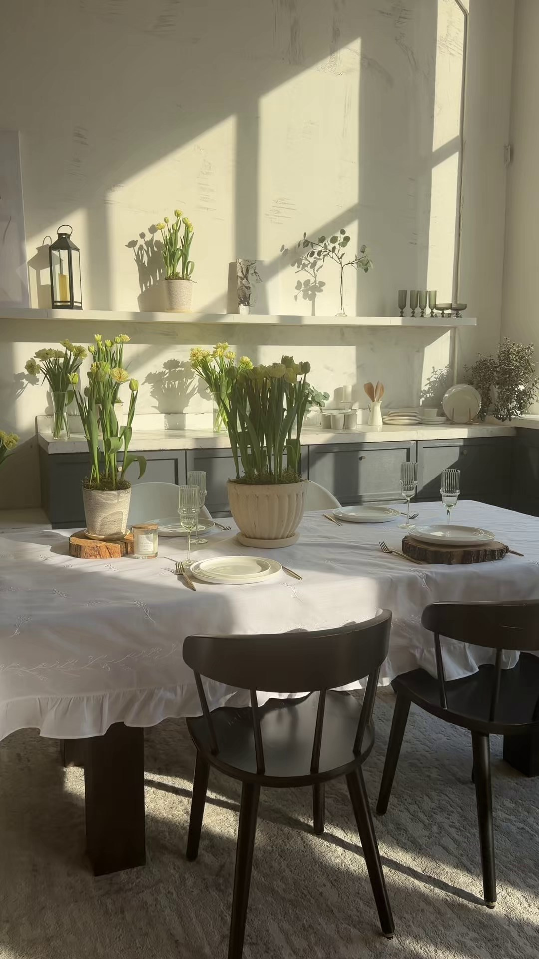 АНОНС ЦВЕТЕНИЯ