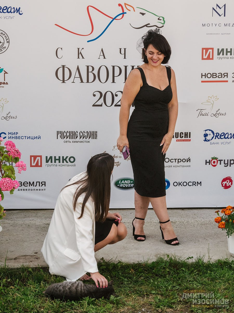 Скачки фаворитов 2024