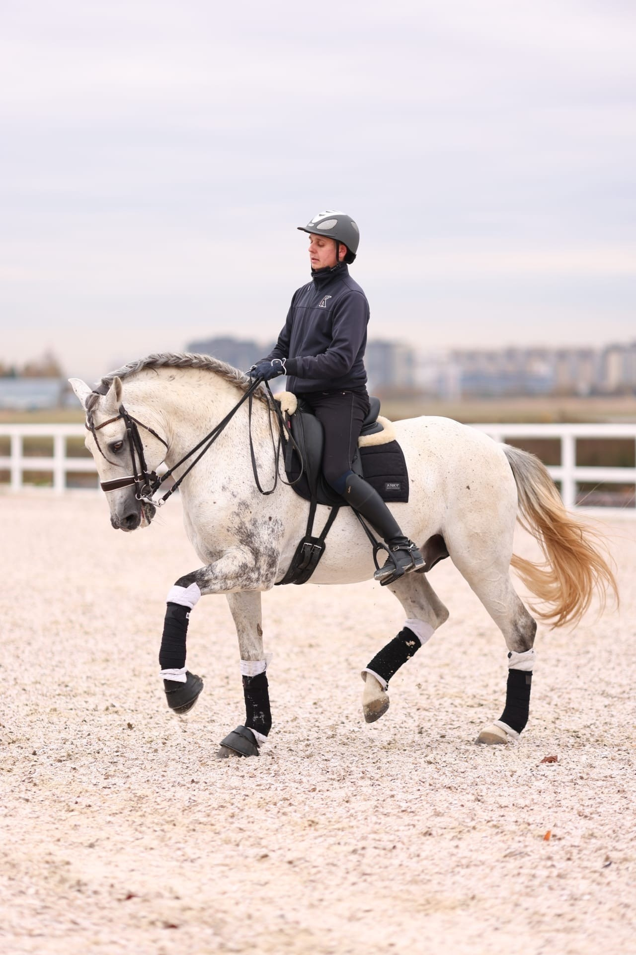 Фотосессия с лошадью, с лошадьми, лошади, тренировки, конный спорт, конюшня