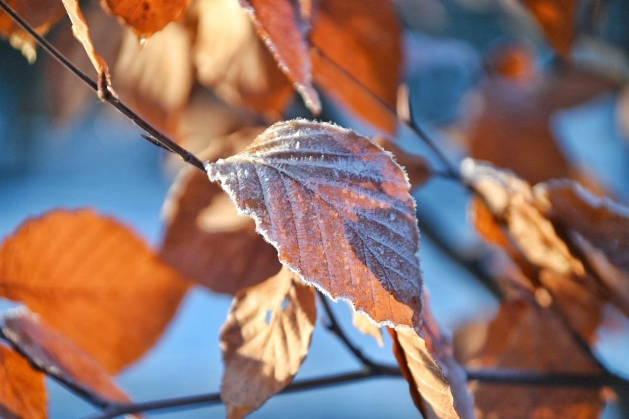 Разное. Фотограф Демьянчик Константин