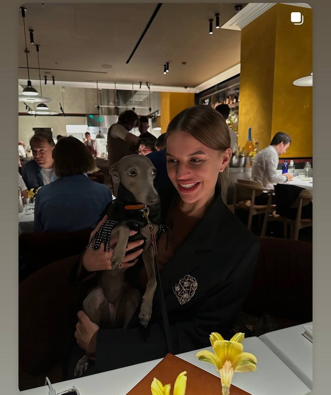 Празднуем дни Рождения. Профессиональный питомник левреток РКФ/FCI ASTI SAPPHIRE 💎 Сочи|Санкт-Петербург