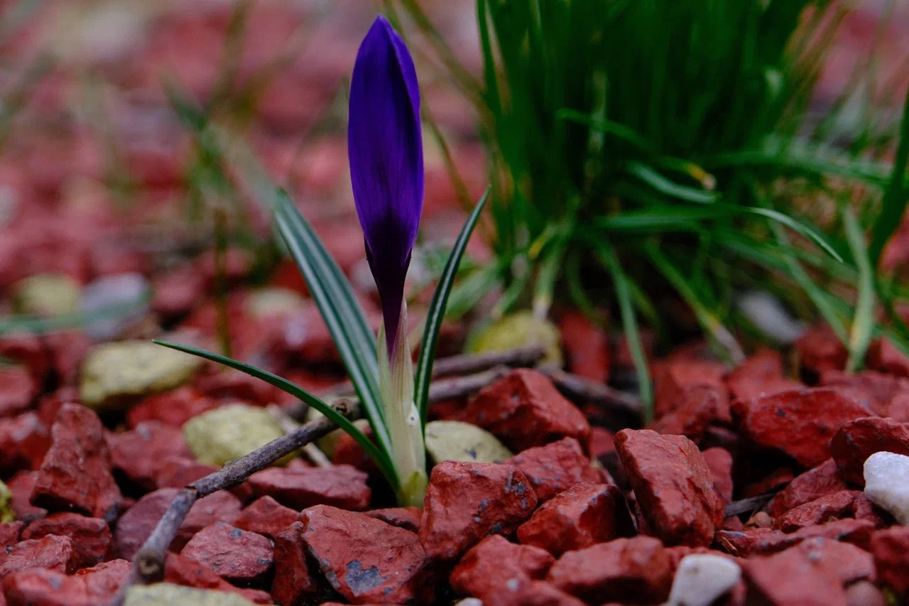 Пейзажная фотография