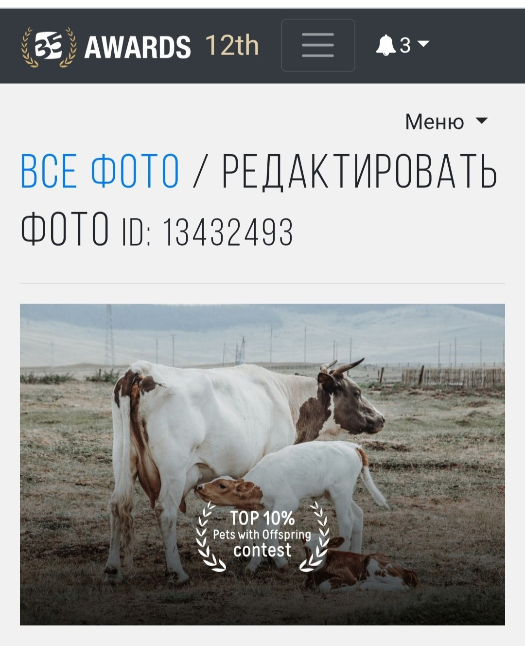 Фотограф Марина Анищук