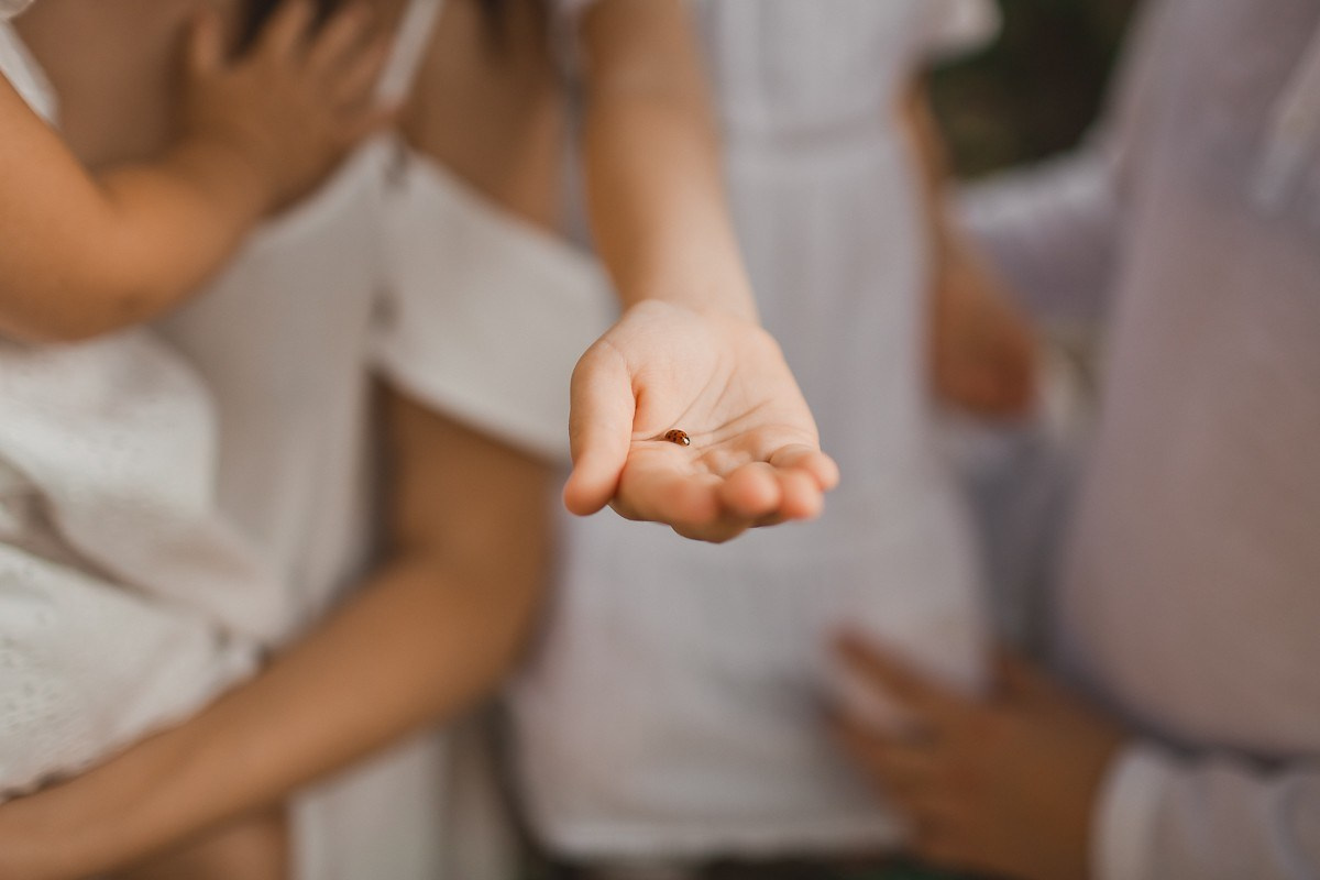 Маша, Саша, Варя, Мира Wellna