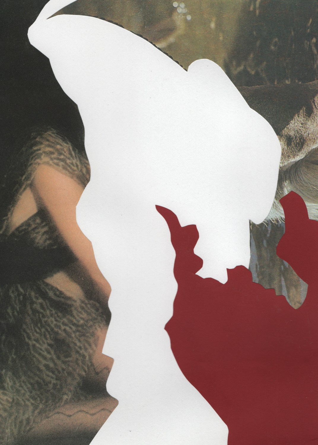 Shards of despair. Maria Barakova