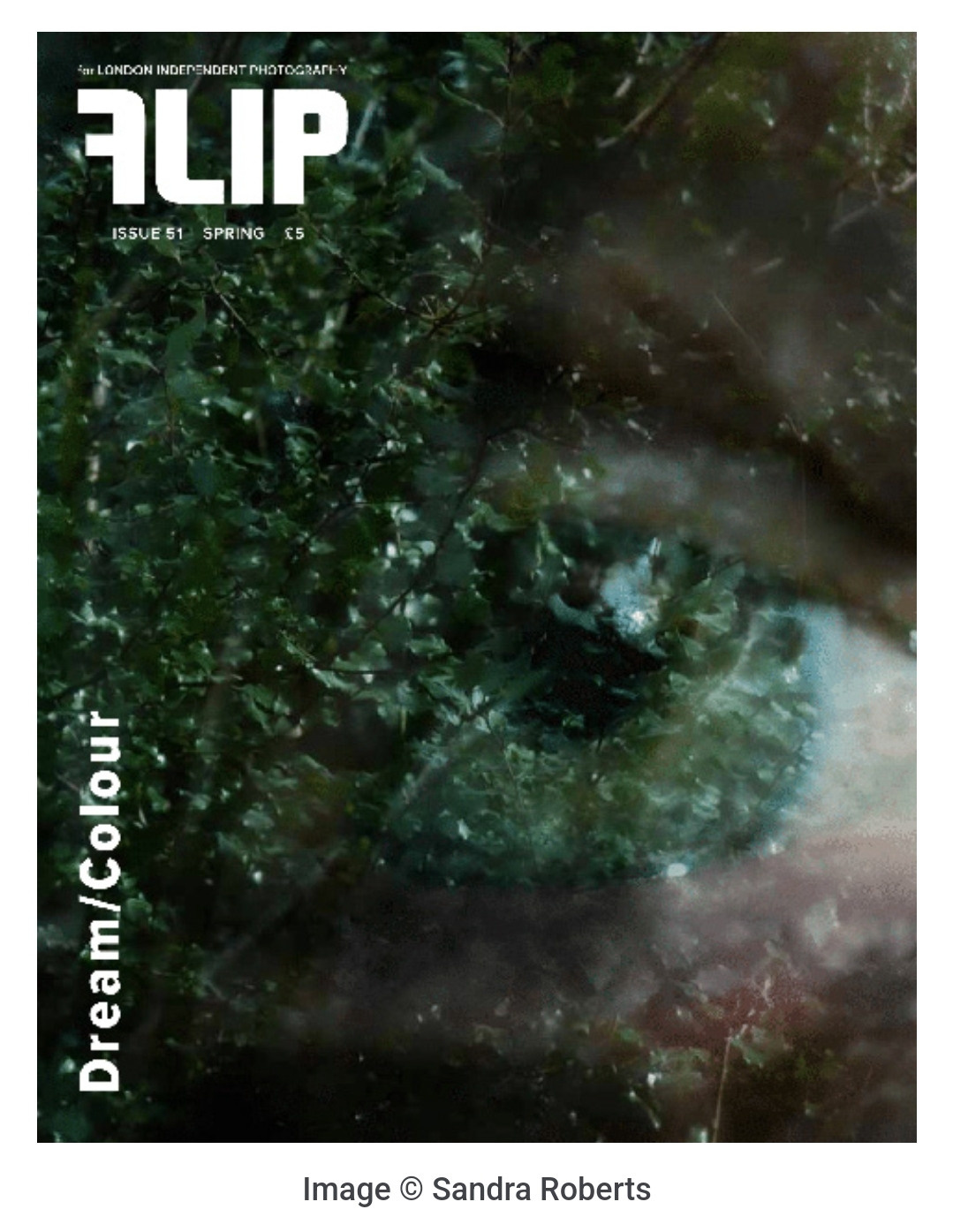 Публикации. Художественный фотограф. Фотосессии, Обучение, Ревью