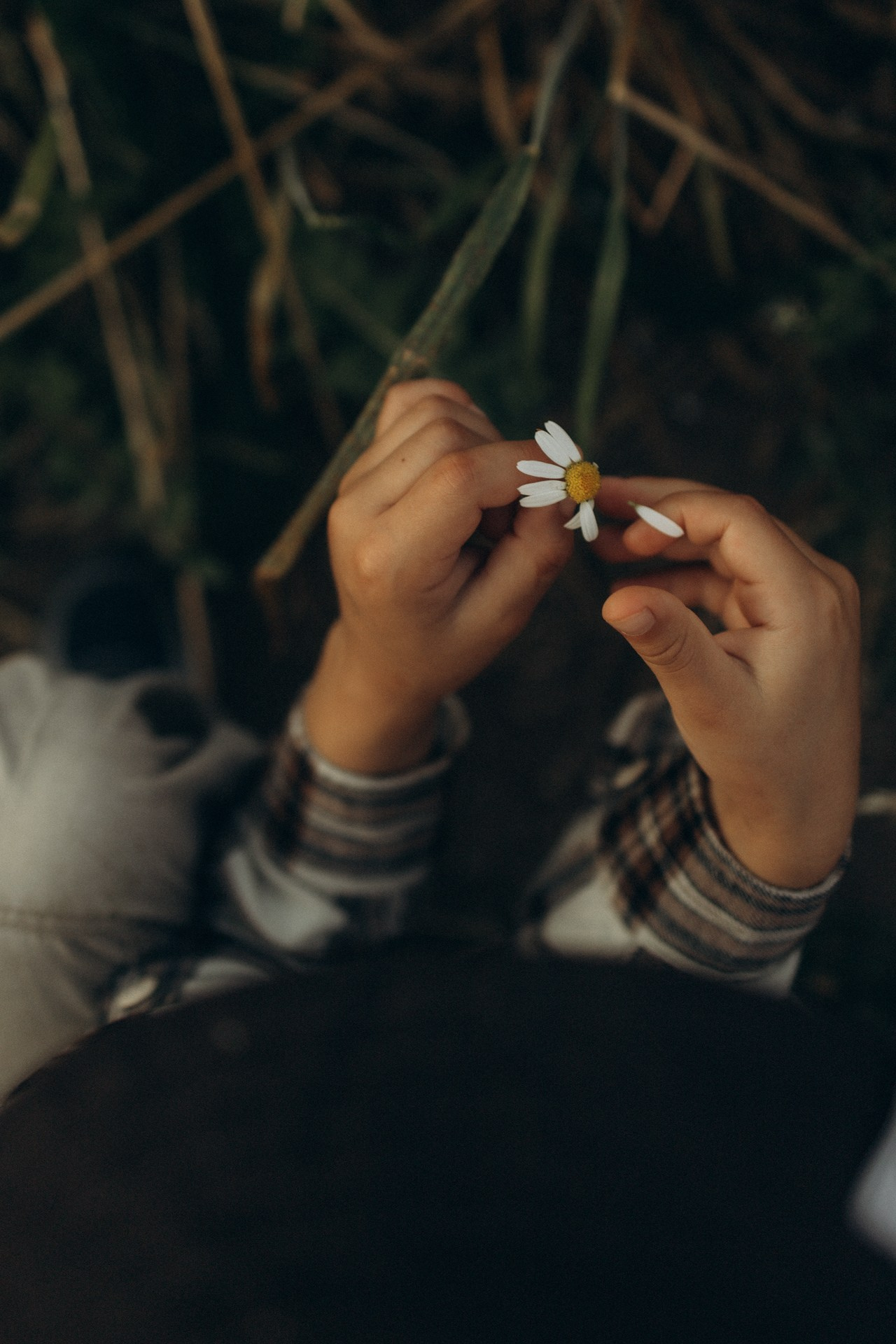 Анастасия, Никита и Захар. Семейный фотограф в Ижевске Даша Денисова