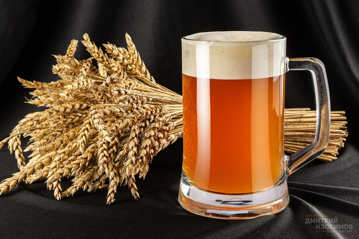 Съёмка блюд для меню