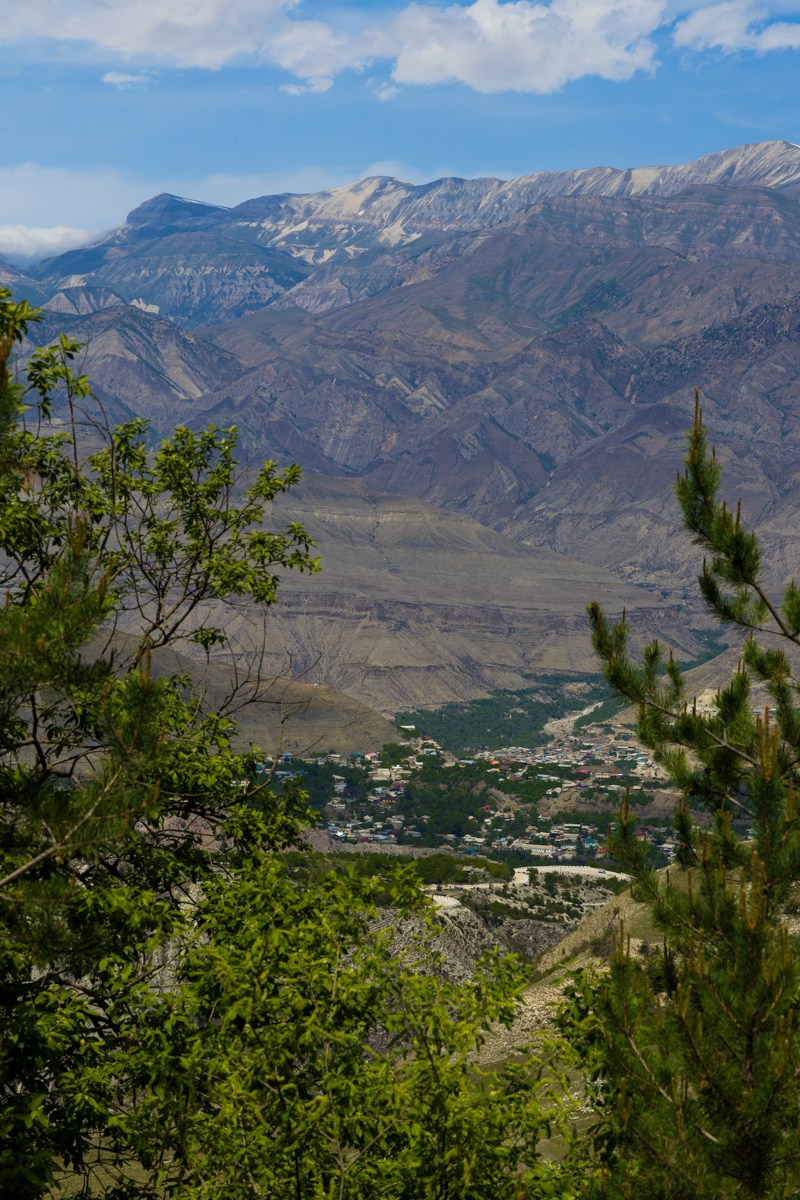 Горы. Photomantis