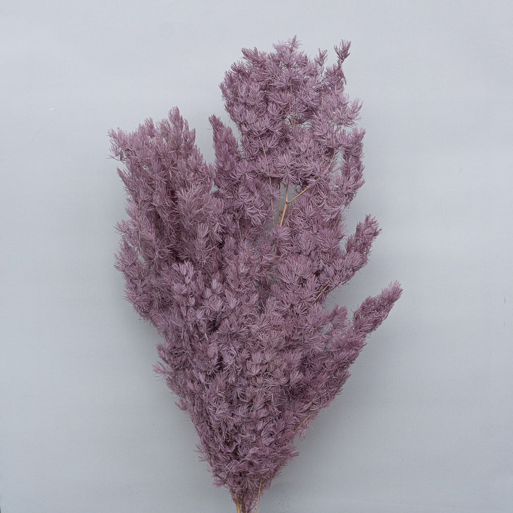 Сухоцветы. Фотограф в Екатеринбурге Яна Круташова