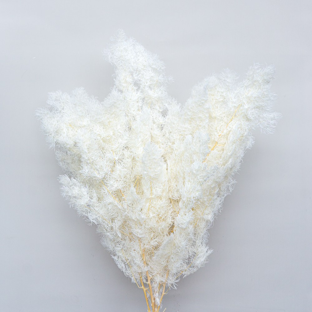 Сухоцветы. Фотограф в Екатеринбурге Яна Круташова