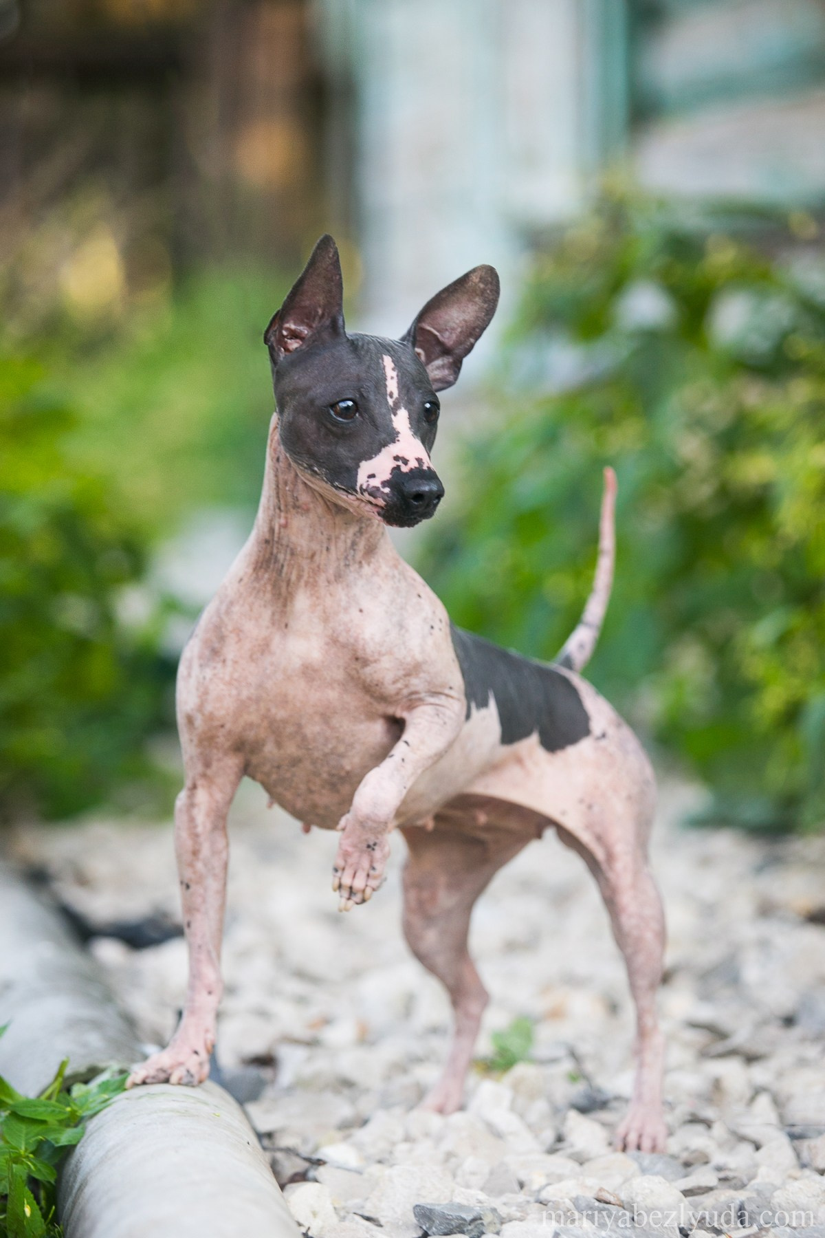 На природе. Семейный и детский фотограф в Москве Мария Быкова