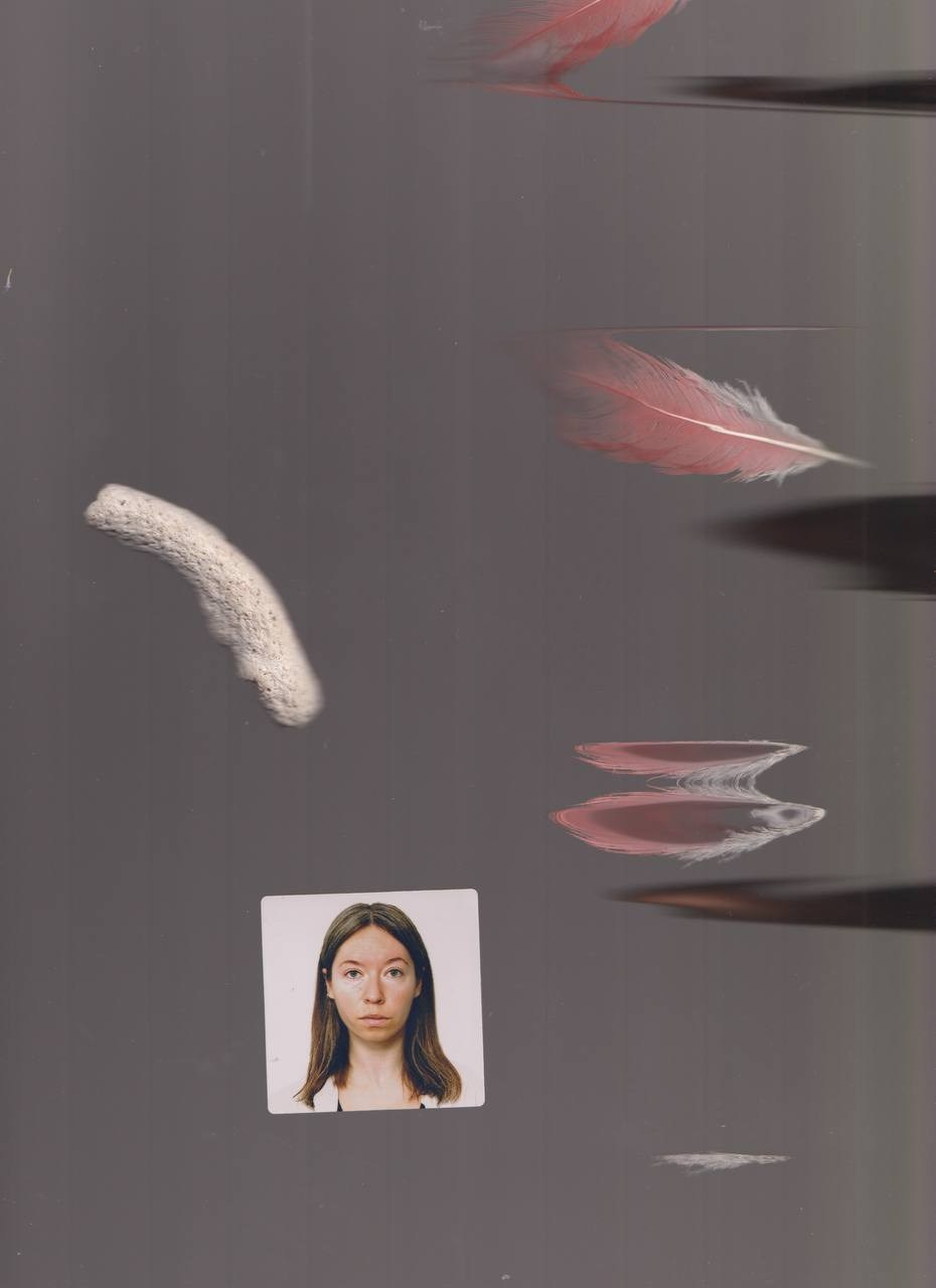 SEDIMENTS AND FOSSILS. Xexexena.ru