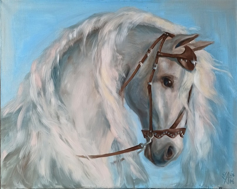 СОН В ЗИМНЮЮ НОЧЬ. Художественные выставки. Яркие открытия