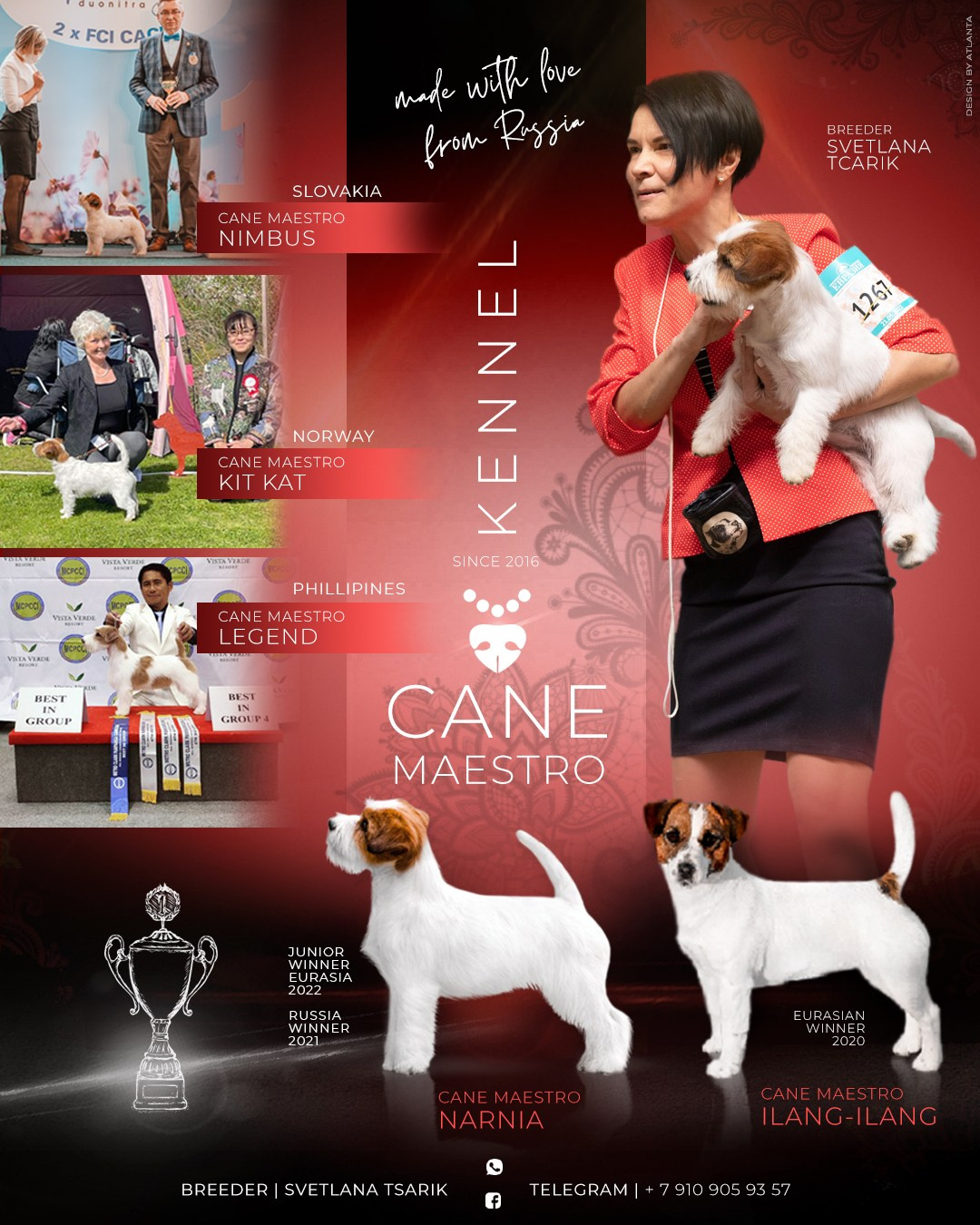 Джек рассел терьеры. Джек рассел терьеры живущие в разных странах.