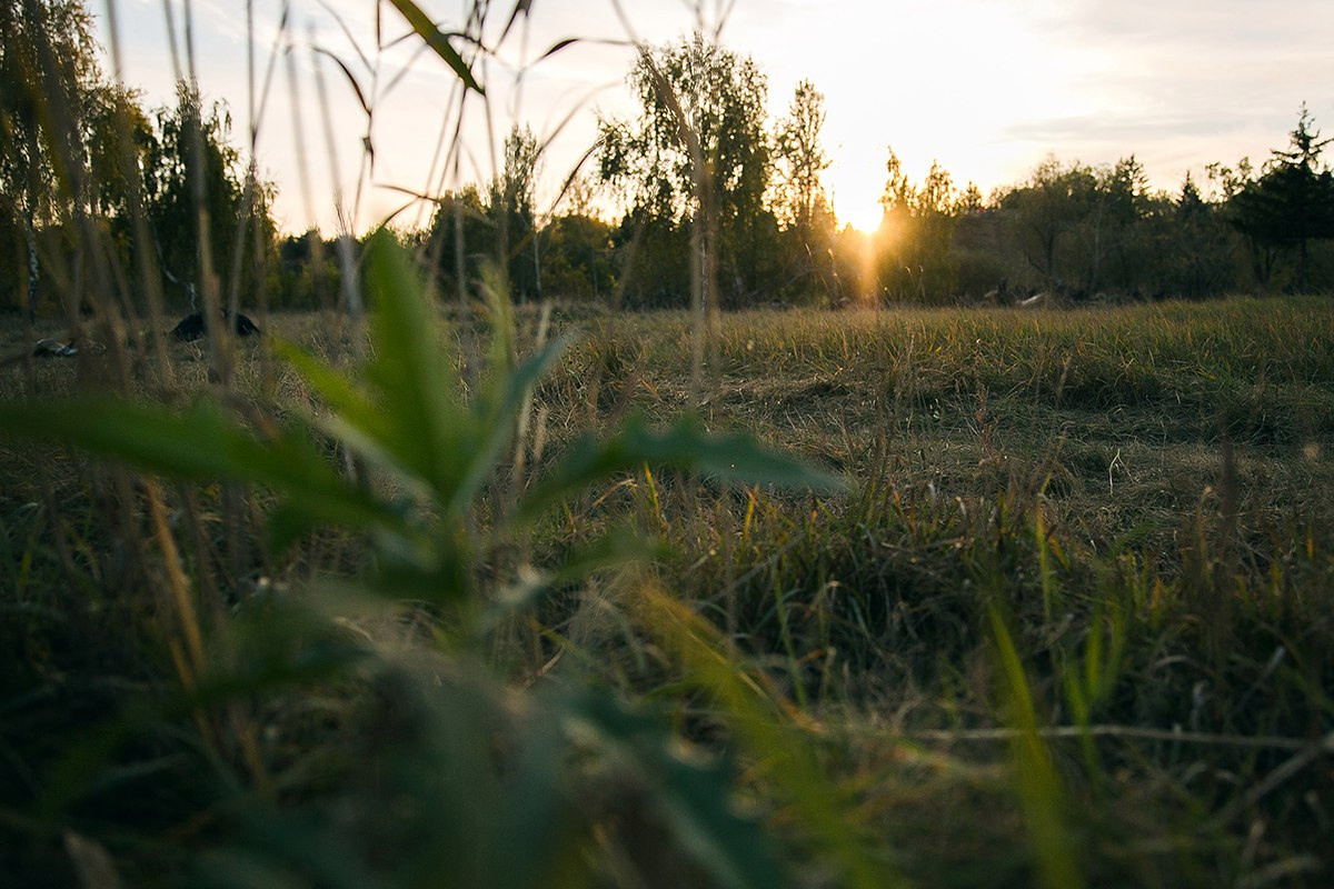 Наталья и Алексей. Main