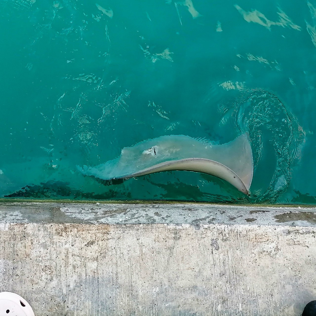 Мне посмотреть. Рыбов показываю