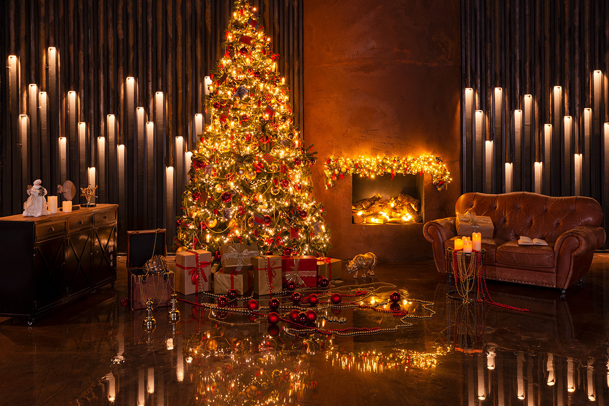Новогодние фотосессии — фотостудии. Семейный и детский фотограф в Москве Вера Ускова