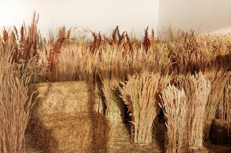 Варшавское шоссе, д 33, стр 13, этаж 3, 1500р/час