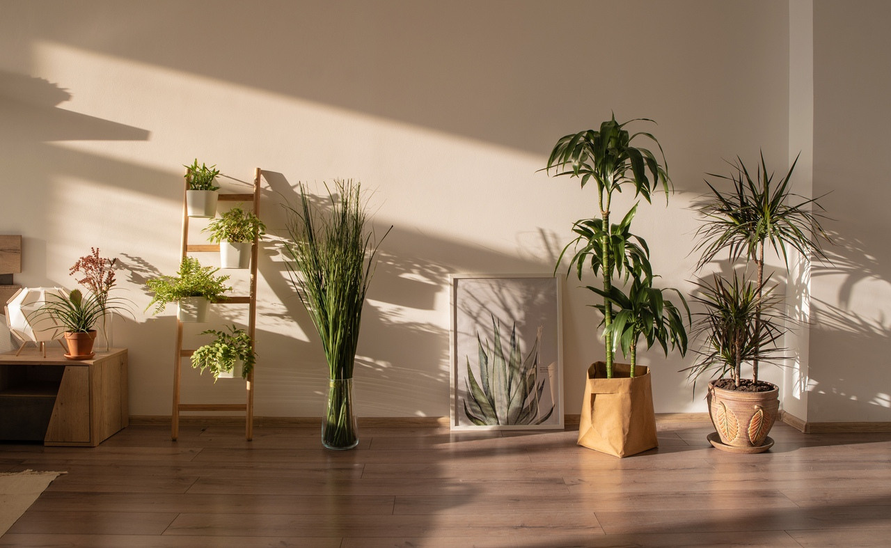 Варшавское шоссе, д 33, стр 13, этаж 3, 1700р/час