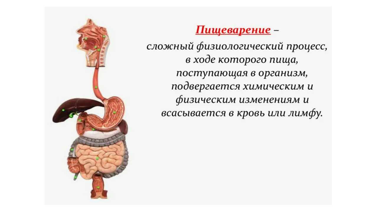 Готовые курсы приема продукции компании Сово-Сова. Сово-Сово — Омоложение и оздоровление!