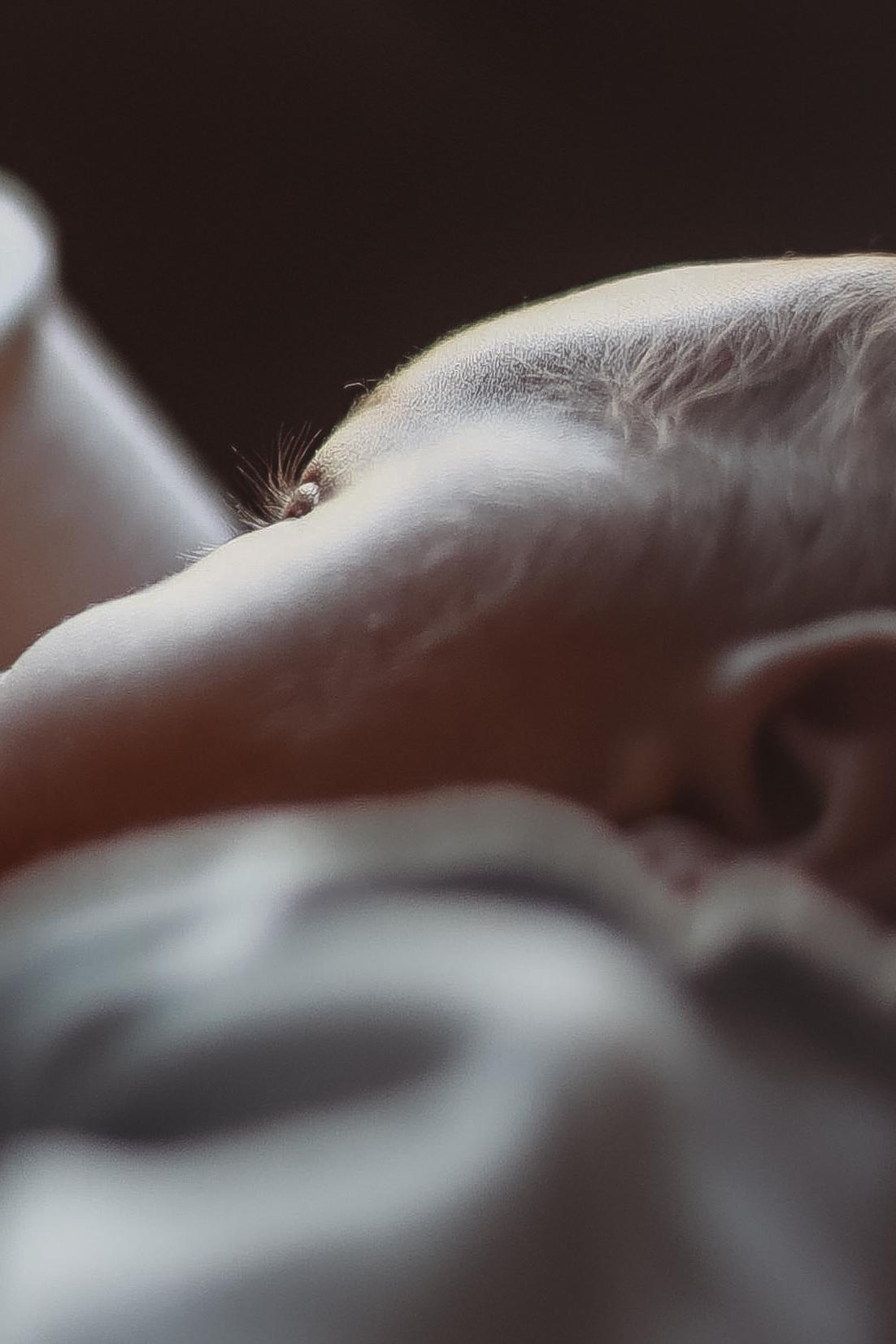 Даша и Саймон