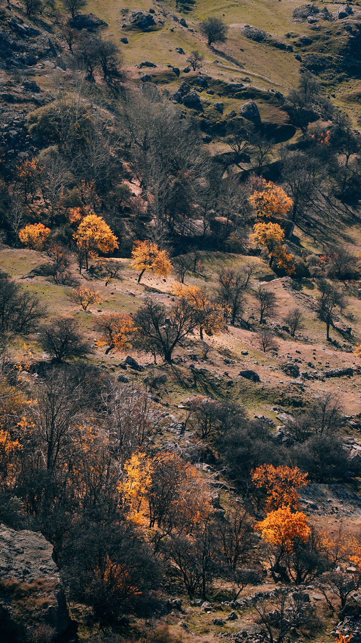 Дагестан 2023. Человек с фотокамерой