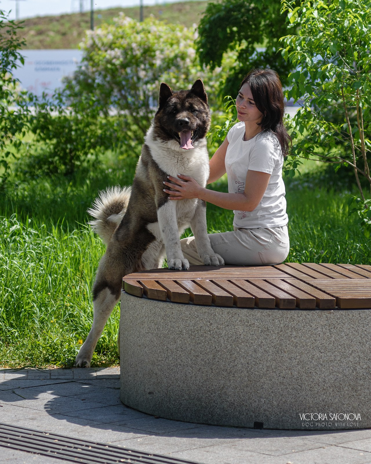 Ястреб и Наташа 31.05.2024. Фотограф анималист Благовещенск. Сафонова Виктория
