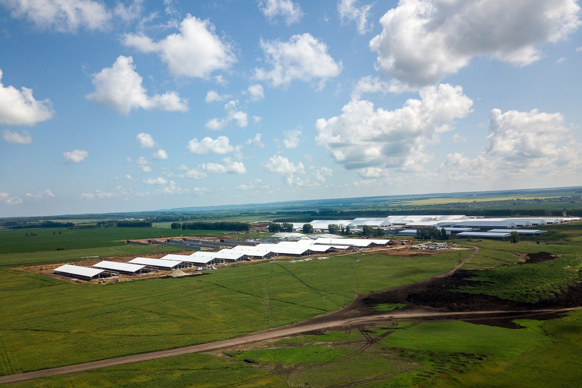 БИЗНЕС КОНТЕНТ. АЛЕКСАНДР ФОКС