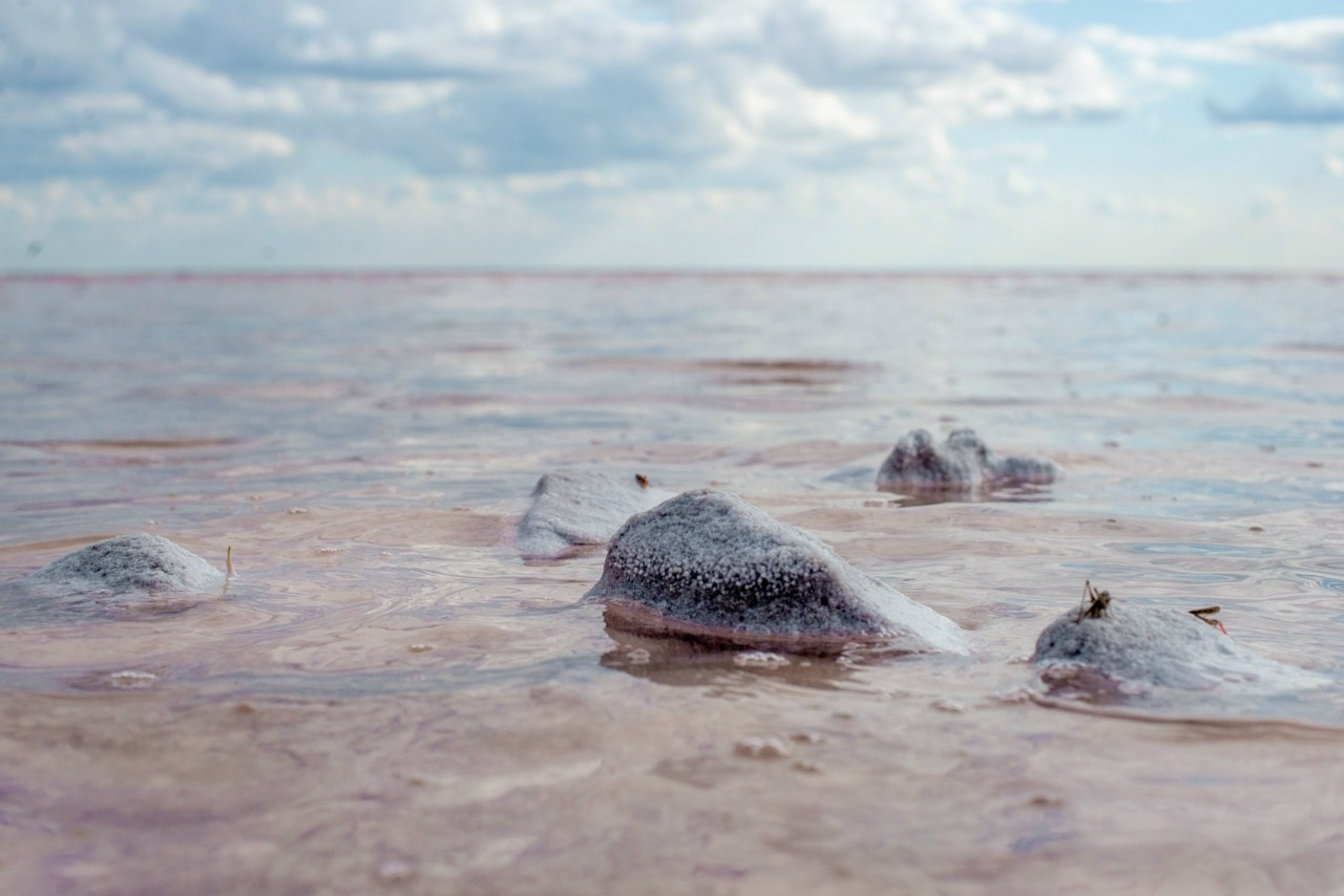 Lake Elton. The Kingdom of Salt. Travel photographer Max Muze