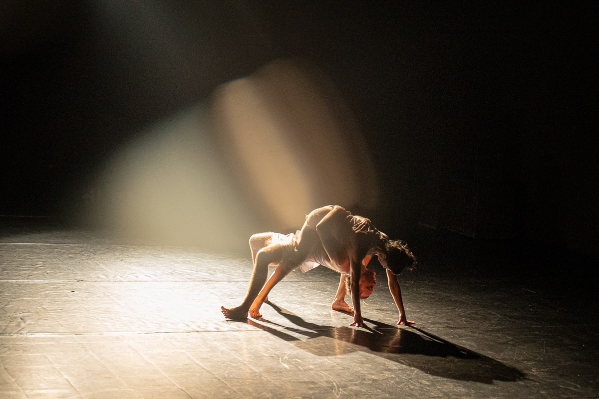 Новофест Фестиваль современного танца. Главная