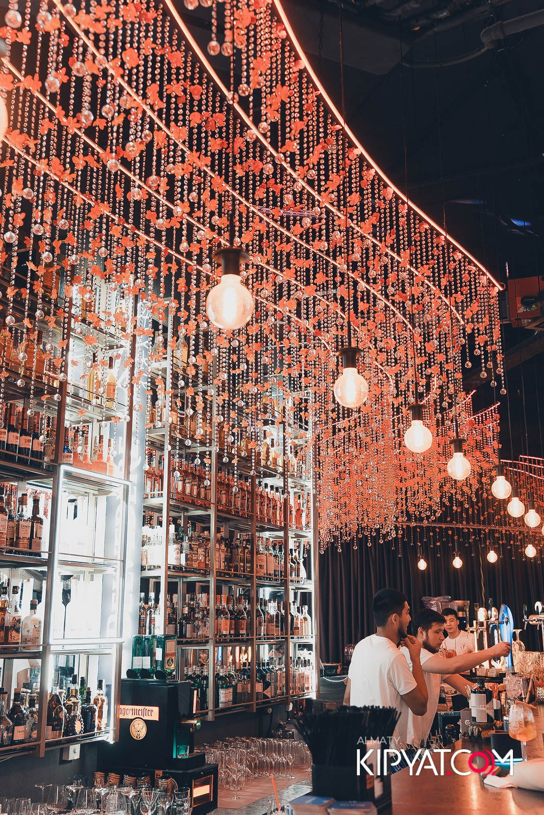 FRIENDS BAR & TERRACE. КИПЯТКОМ АЛМАТЫ!