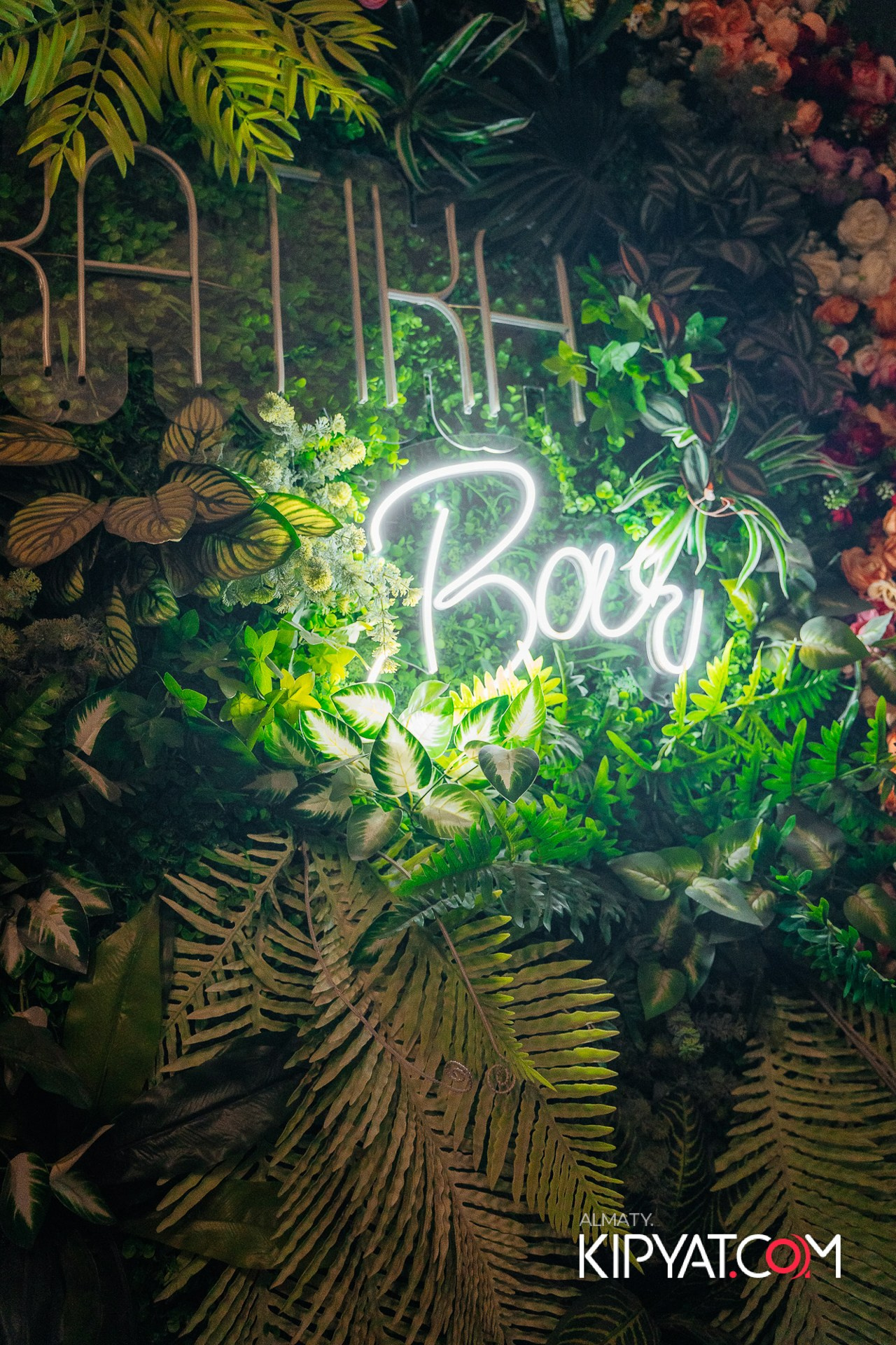 НАКАТИКА. КИПЯТКОМ АЛМАТЫ!