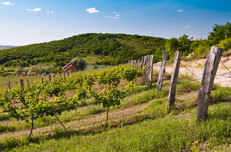 Семигорье. Семейный фотограф в Анапе Светлана Тернопол