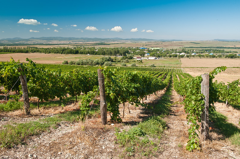 Семигорье. Семейный фотограф в Анапе Светлана Тернопол