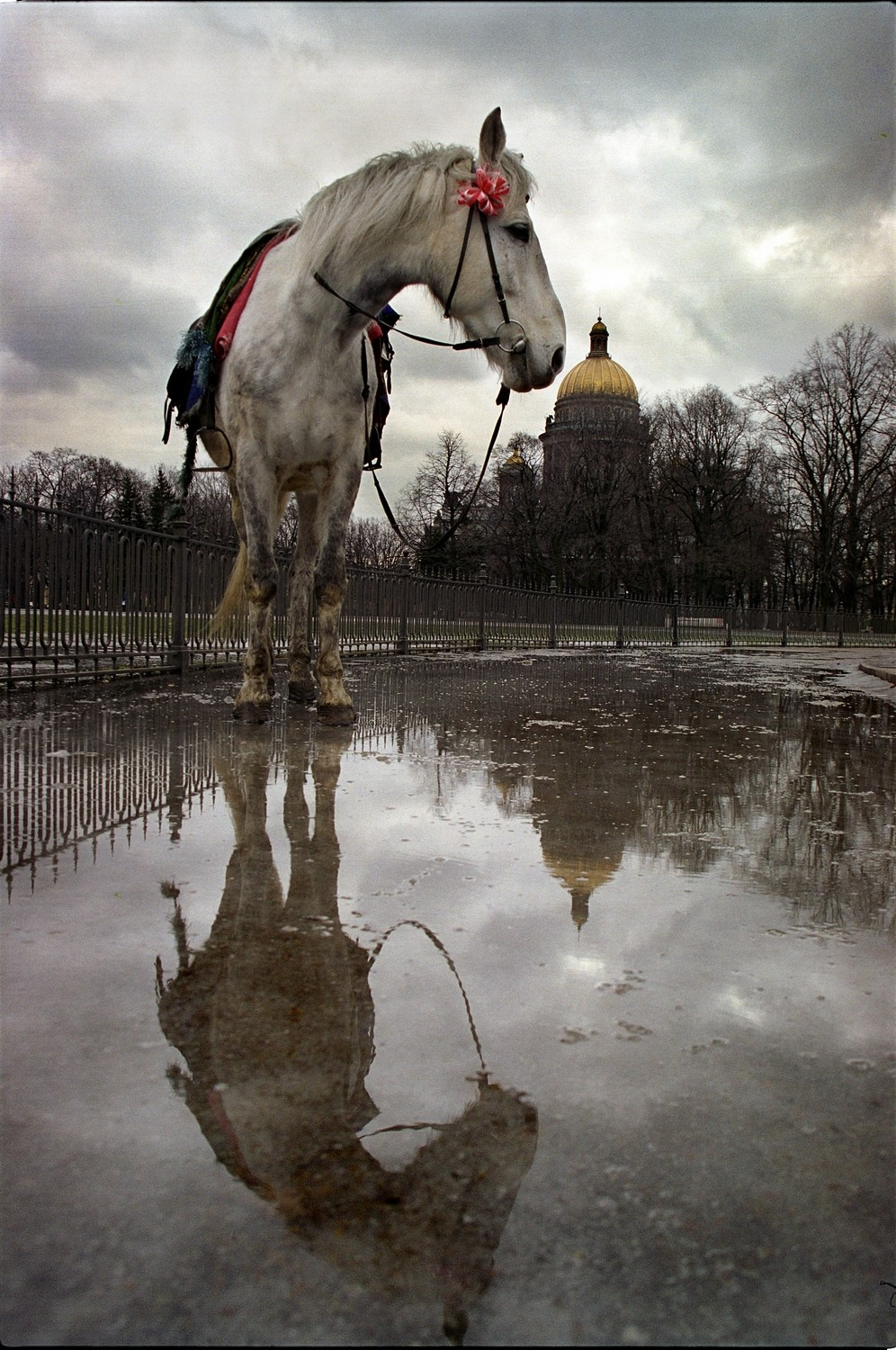 Город. Фотограф Александр Петросян