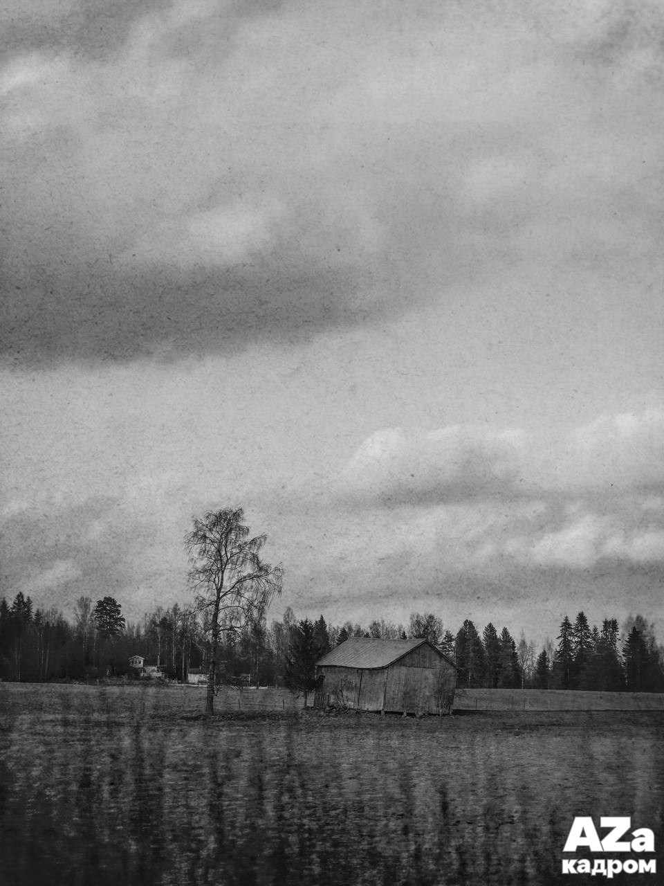 AZакадром «Что для меня дом». Женский семейный фотограф Тула Москва Захарова Анна