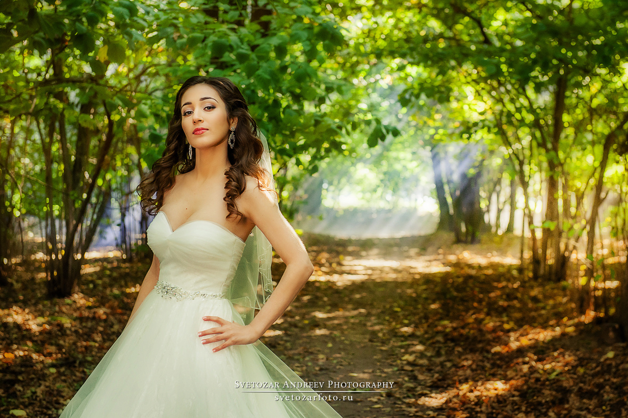 Избранное. Свадебные прогулки. Фотограф Светозар Андреев