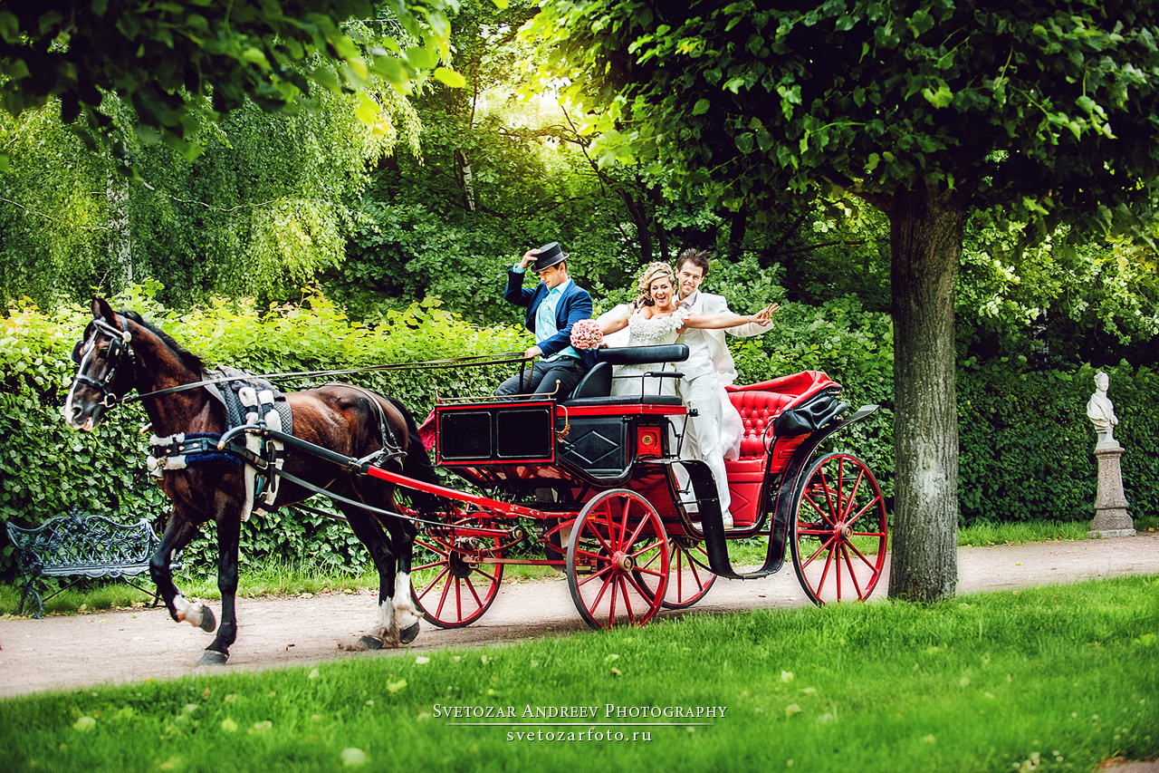 Избранное. Свадебные прогулки. Фотограф Светозар Андреев