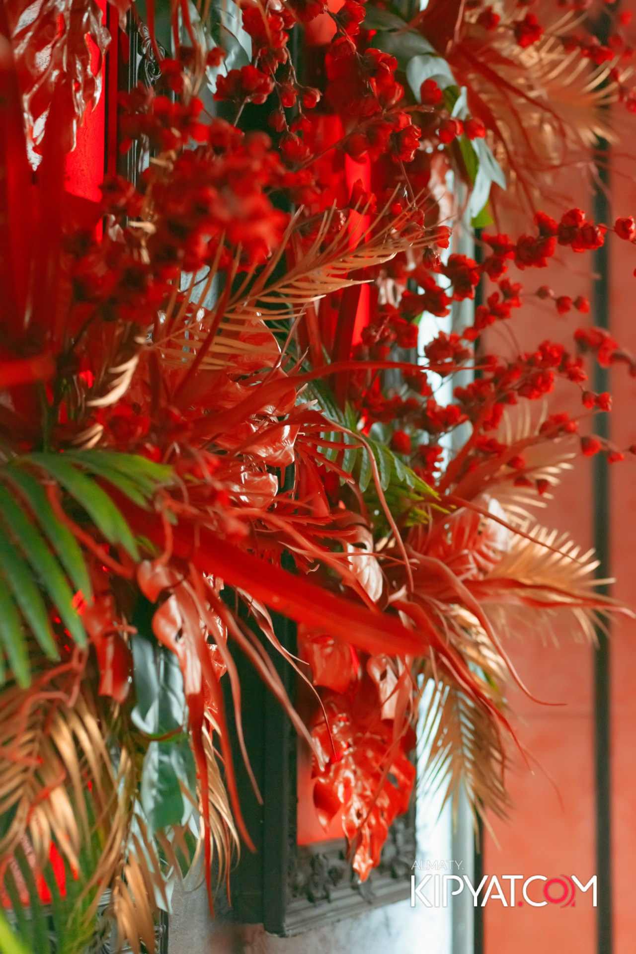 Ухо и Медведь на Саина. КИПЯТКОМ АЛМАТЫ!