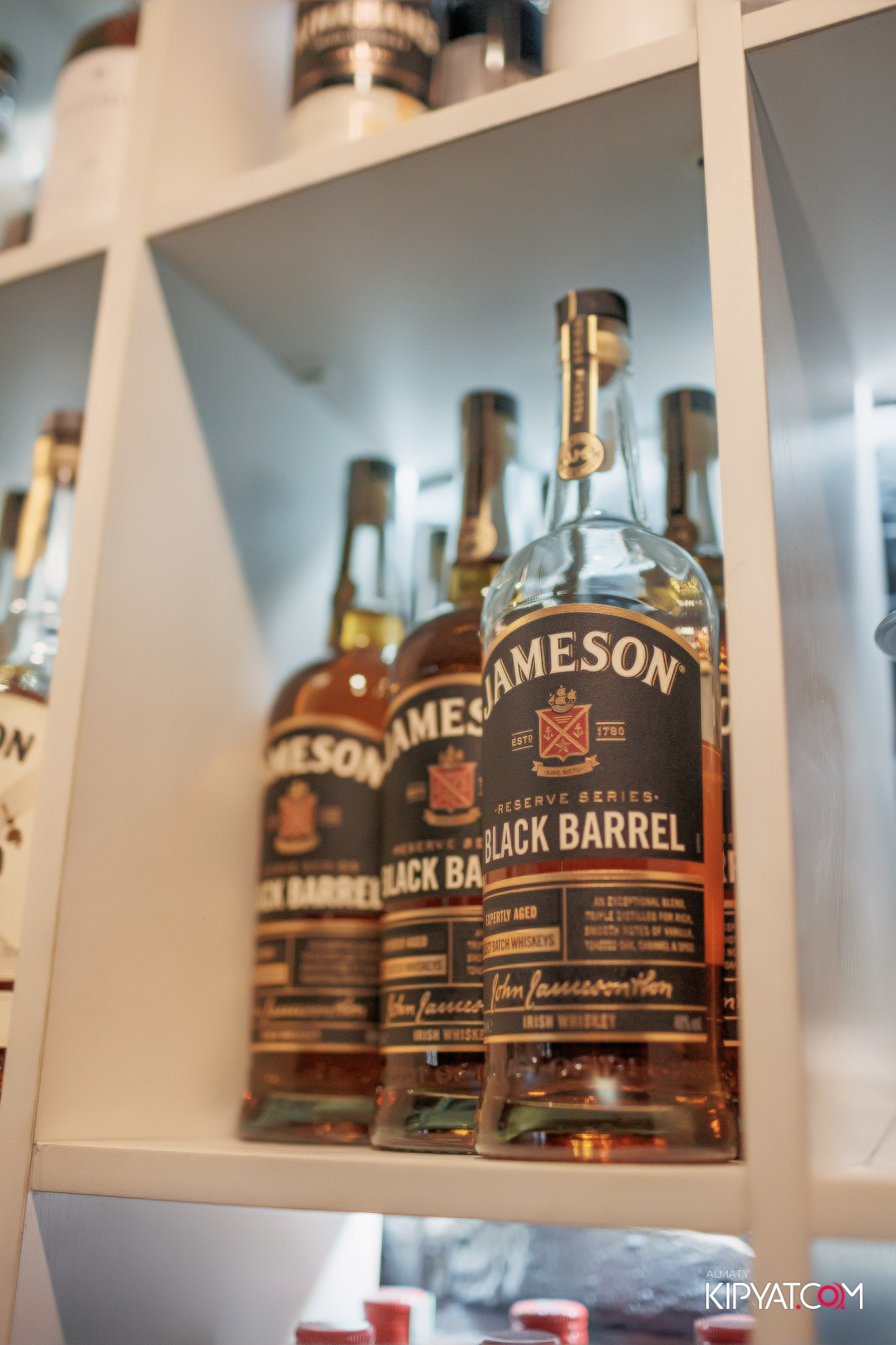 УХО И МЕДВЕДЬ НА КУРМАНГАЗЫ. КИПЯТКОМ АЛМАТЫ!